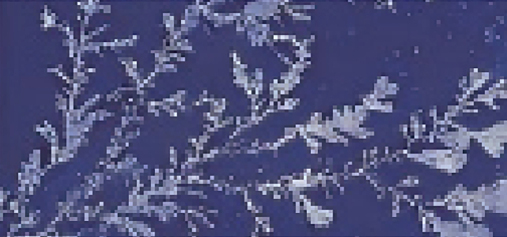 未标题-2.jpg